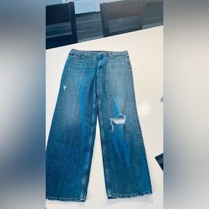 Hudson Los Angeles Jeans Remi Straight Ankle size 34